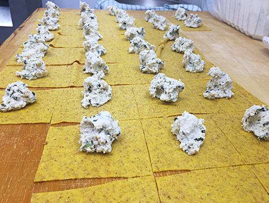 mamma lia tradizione gastronomiche catering cucina eventi tortellini pasta fresca cibo sassuolo modena